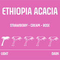 Ethiopia Acacia