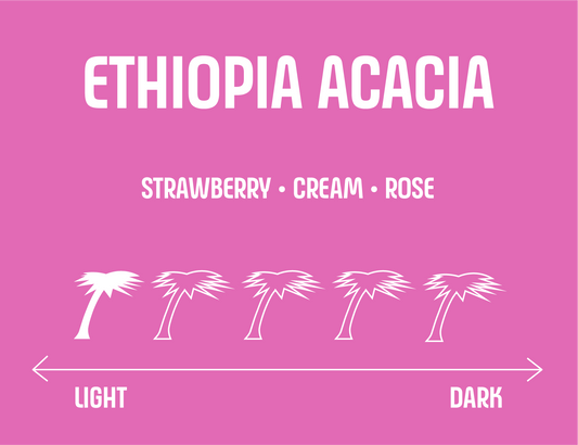 Ethiopia Acacia